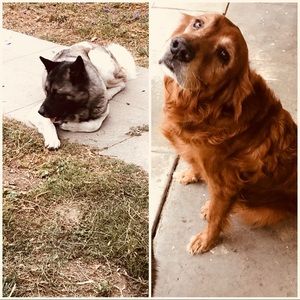 Meet your Posher, Cheryl